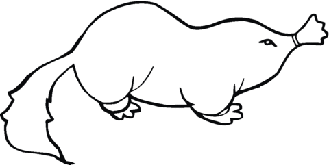 Mole 15 Coloring Page